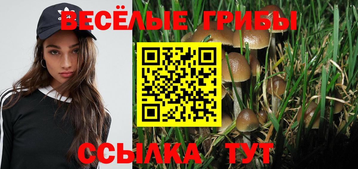 Псилоцибиновые грибы Magic Shrooms  Вход с VPN  Выборг 