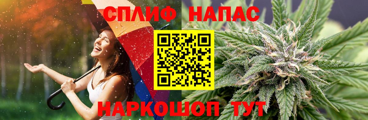Каннабис план  Каннабис MAZAR  Выборг  Вход с VPN 